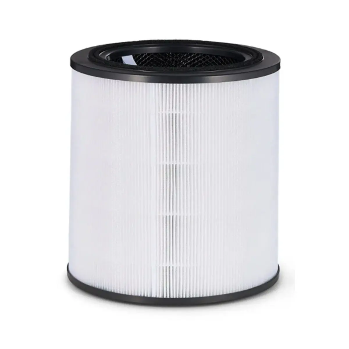 Bosch Air 6000 originalni 4-u-1 zamenski filter, HEPA H13