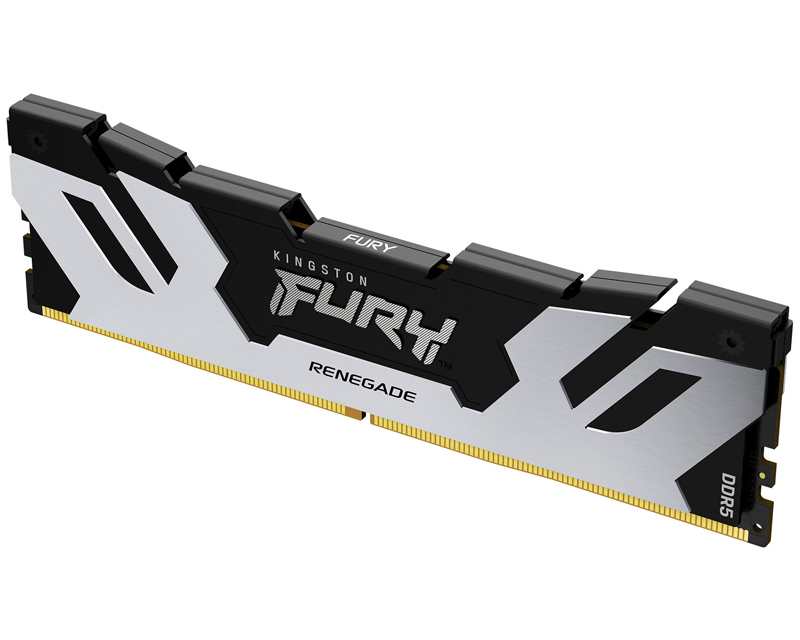 Kingston FURY Renegade Silver 16 GB DDR5-7200 CL38 DIMM