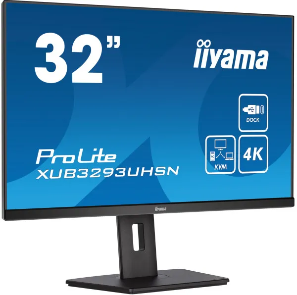 iiyama ProLite XUB3293UHSN-B5 31,5″ 4K IPS monitor sa USB-C dockom