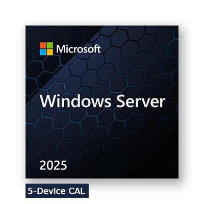 Microsoft Windows Server 2025 OEM 5 Device CAL EP2-25243