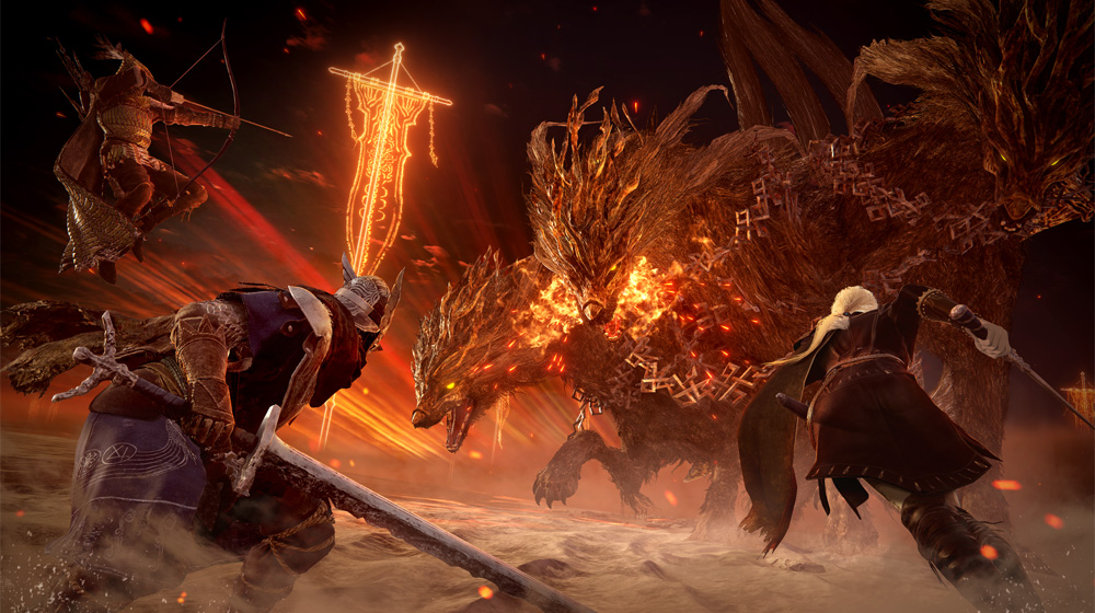 Elden Ring Nightreign Collector's Edition PS4