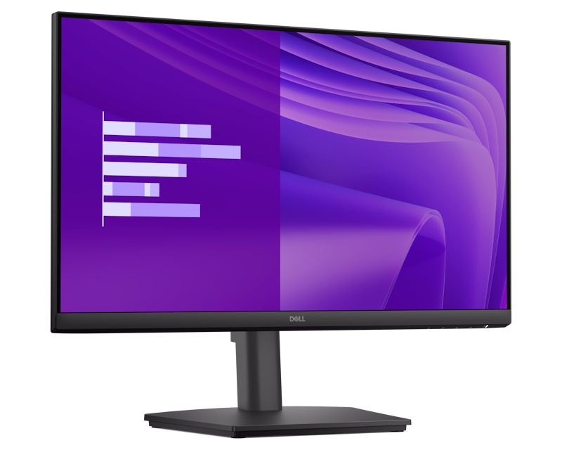 Dell Pro 24 E2425HSM 23,8-inčni IPS Full HD monitor 100 Hz