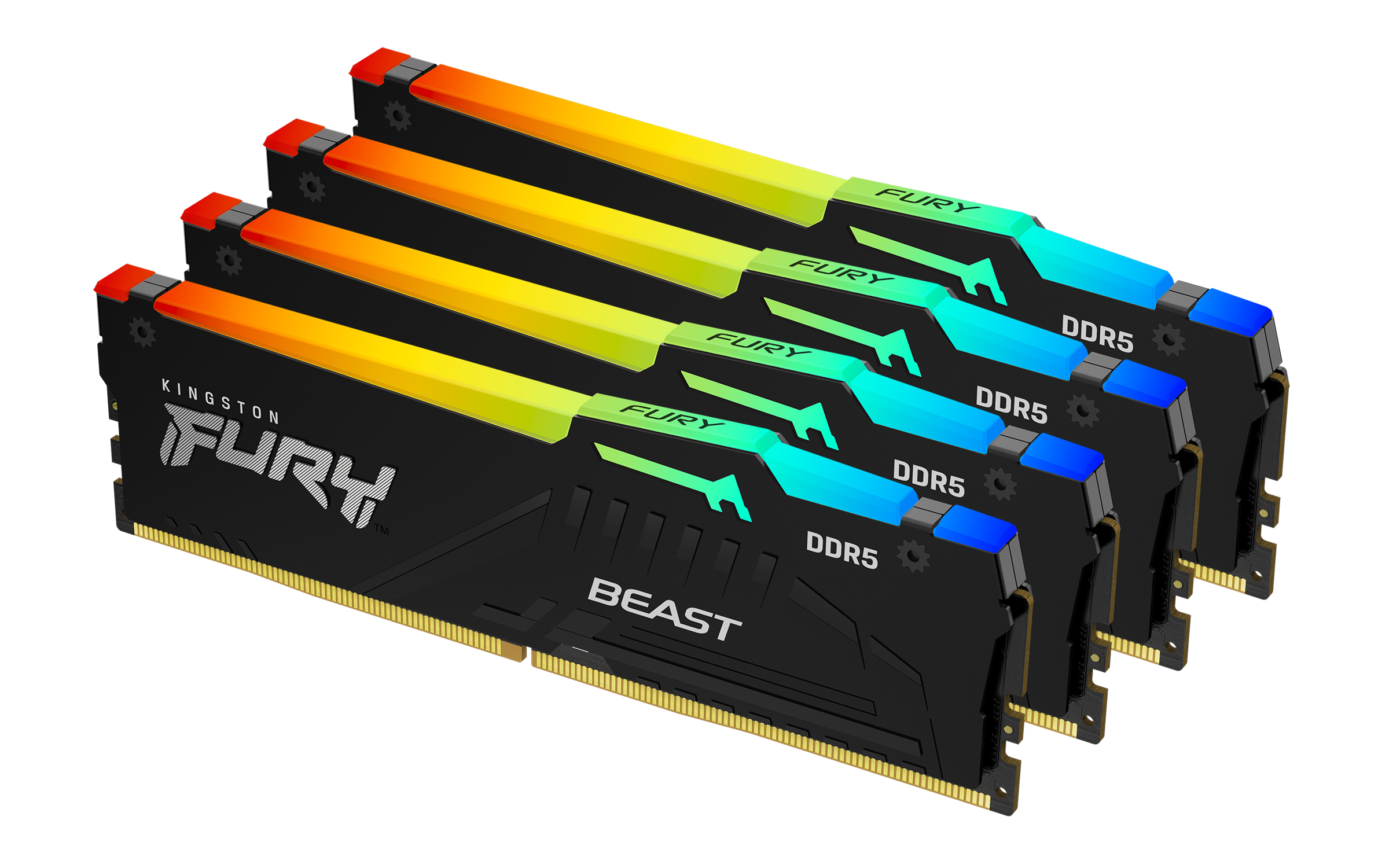 Kingston FURY Beast RGB KF560C40BBAK4-64 RAM 64 GB DDR5 6000 MT/s