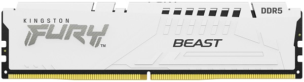 Kingston FURY Beast KF556C36BWE-16 bela RAM memorija 16 GB DDR5 5600 MT/s