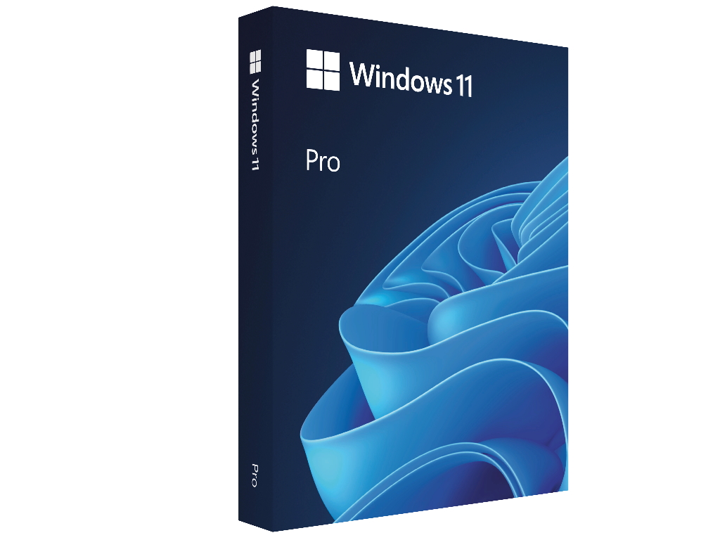 Microsoft Windows 11 Pro 64-bit FPP USB licenca, engleski