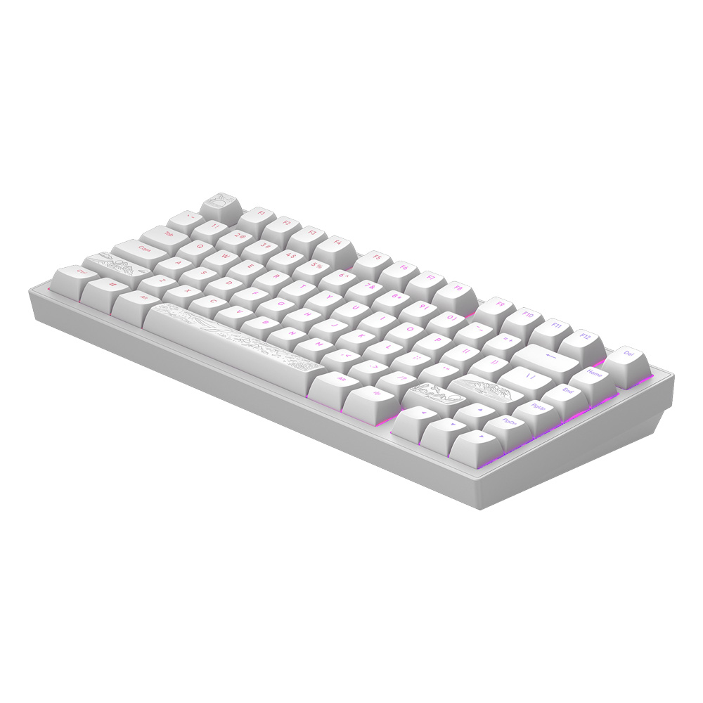 Dark Project ALU Terra Nostra R2 White ANSI mehanička tastatura 75%