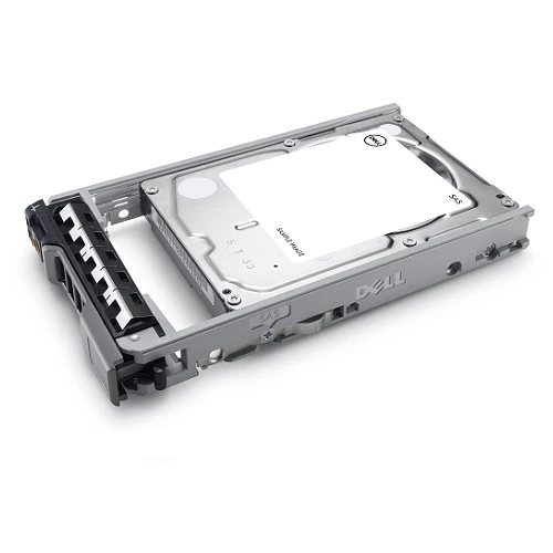 Dell OEM 32TB SAS serverski HDD 3,5" Hot-Plug 14G